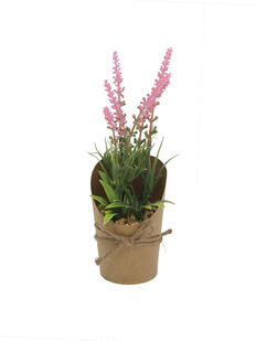 Plantas