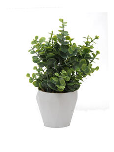 Plantas