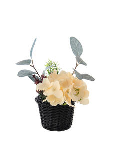 Plantas